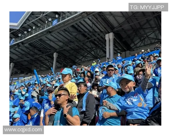 足球而已的魅力探讨与球迷文化的深度融合之旅