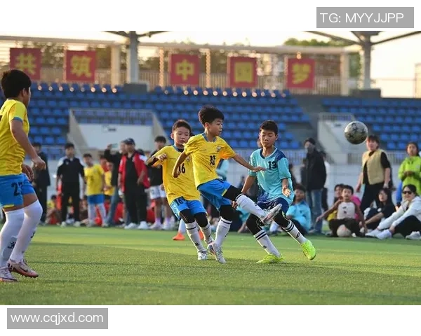 足球的魅力与激情：在绿茵场上追逐梦想的青春故事